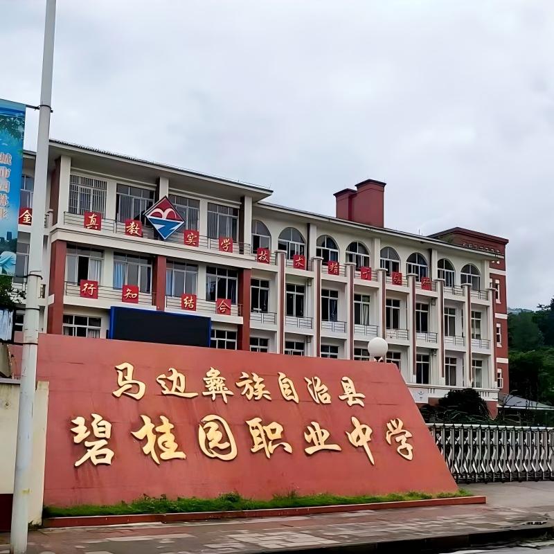 马边碧桂园职业学校